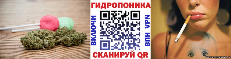 как найти закладки Белоозёрский Canna-Cookies конопля