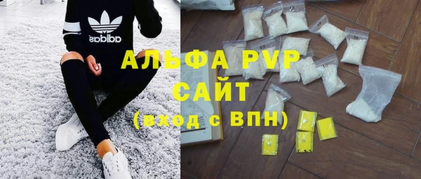 СК Осинники
