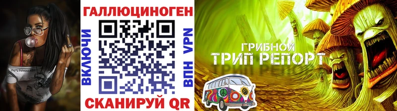 кракен tor  Белоозёрский  Галлюциногенные грибы прущие грибы  цена  